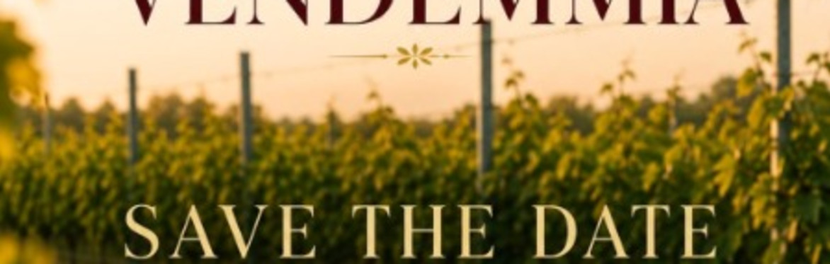 FESTA DELLA VENDEMMIA