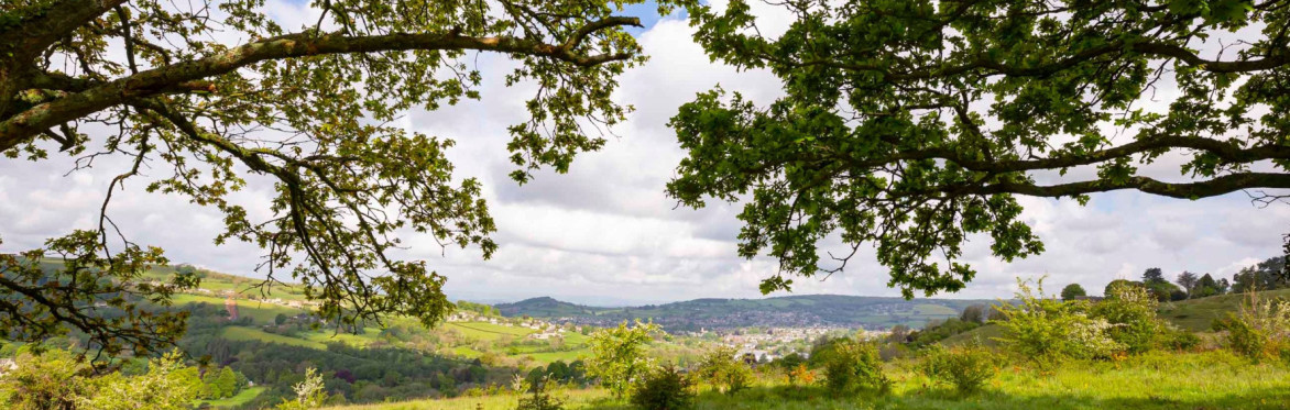 Minchinhampton Common
