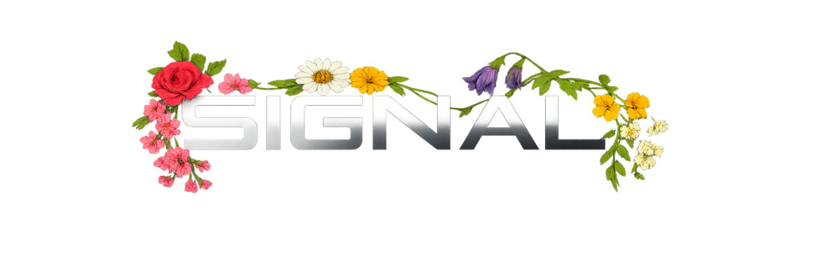 Signal : summer sessions