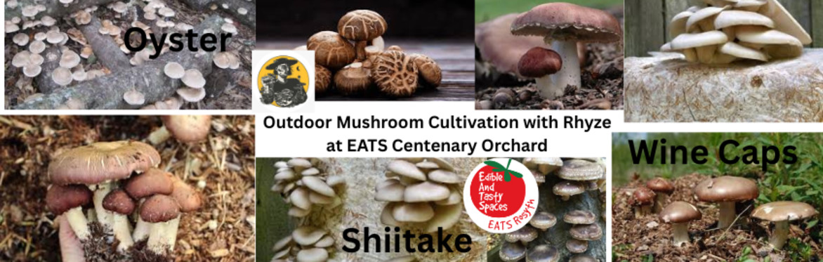 Outdoor Mushroom Cultivation with Rhyze