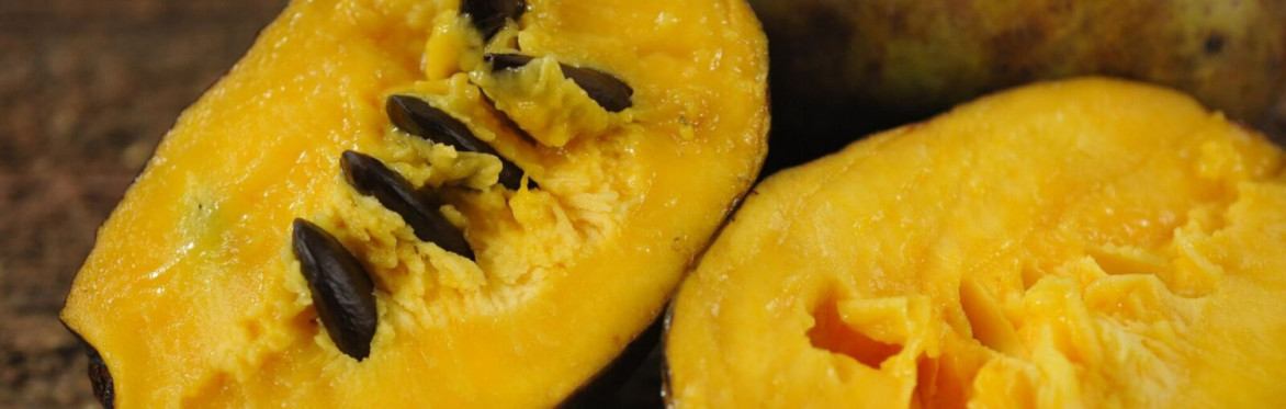 PAW PAW FRUIT TASTING & ORCHARD TOUR