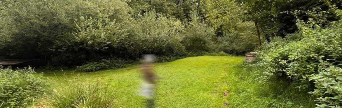 A blurred image of a person standing in a green space