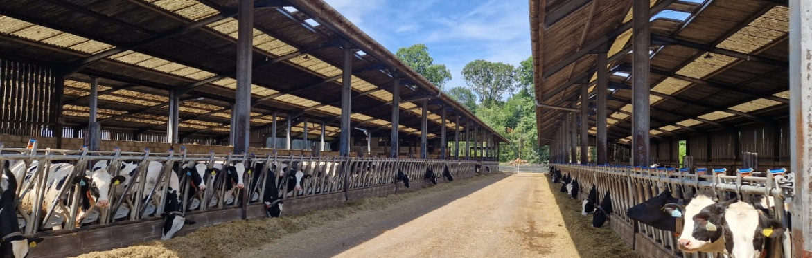 Precision Livestock Farming Conference 2026