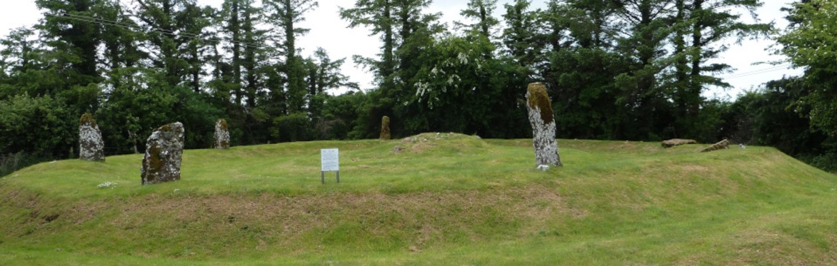Pre-Historic Loughrea Tour