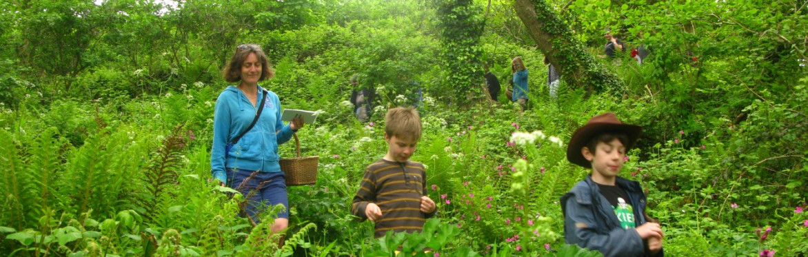Wild foraging in Spring