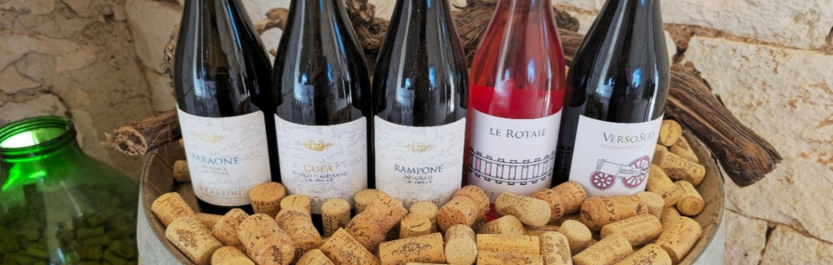 Wine Tasting and Nature