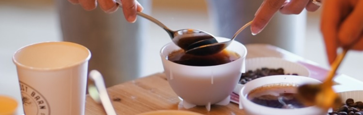 Coffee Cupping