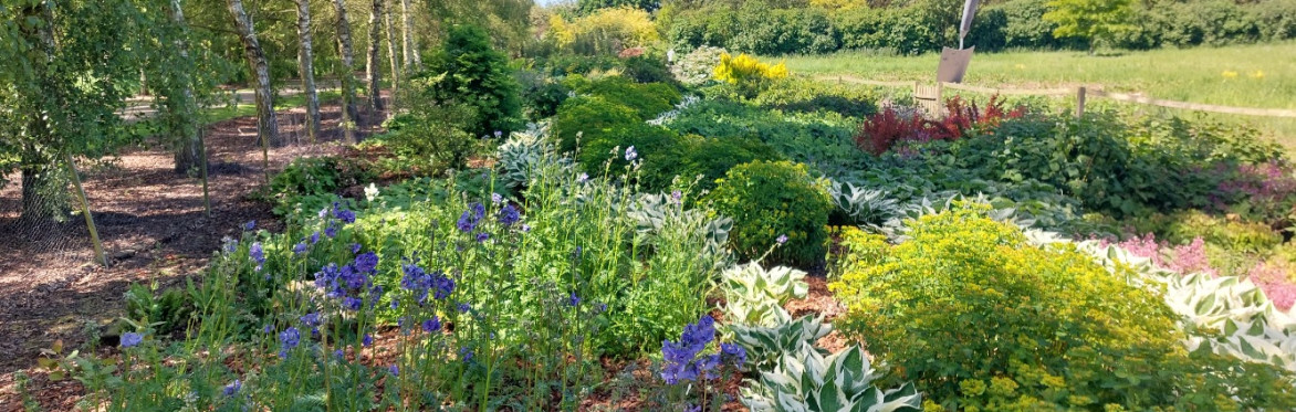 (2026) Breezy Knees Gardens 2026 Garden Entry with Hot Drink and Cake Gift Voucher