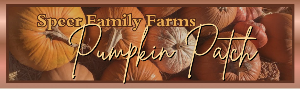 Speer Family Farms Pumpkin Patch 2025