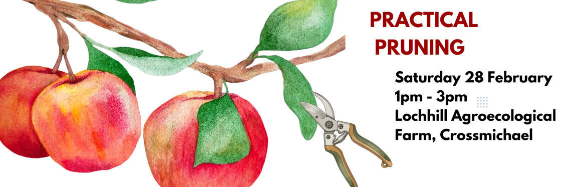 Practical Pruning