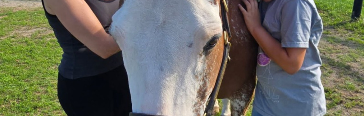 Horse with two people