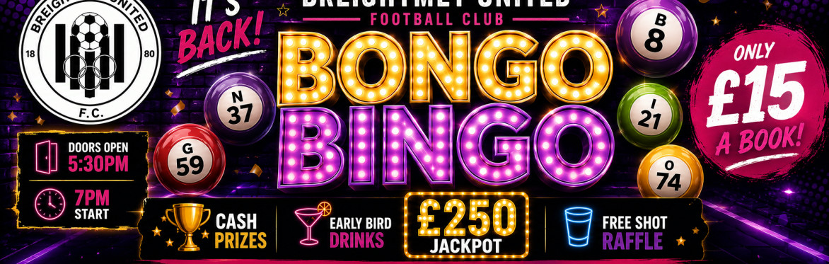 Bongo Bingo