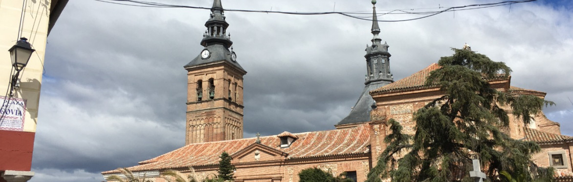 LA VILLA REAL DE NAVALCARNERO: Tierra de vinos