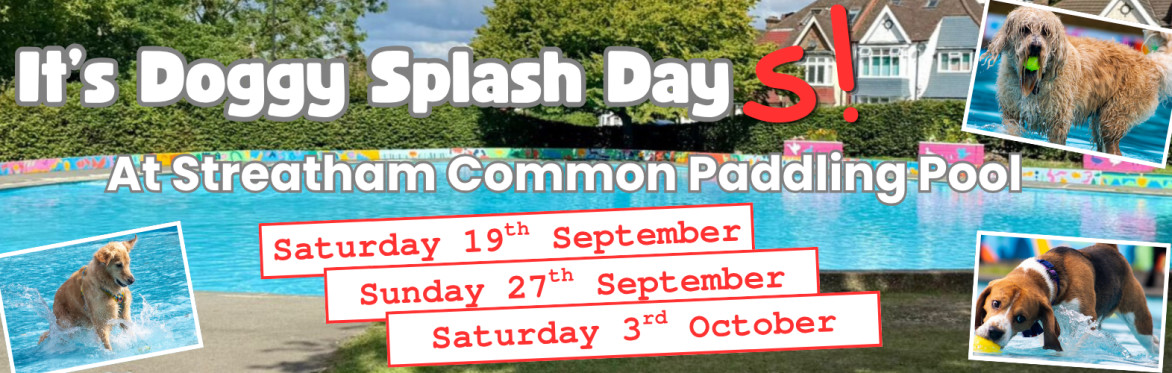 Doggy Splash Day at Streatham Common Paddling Pool