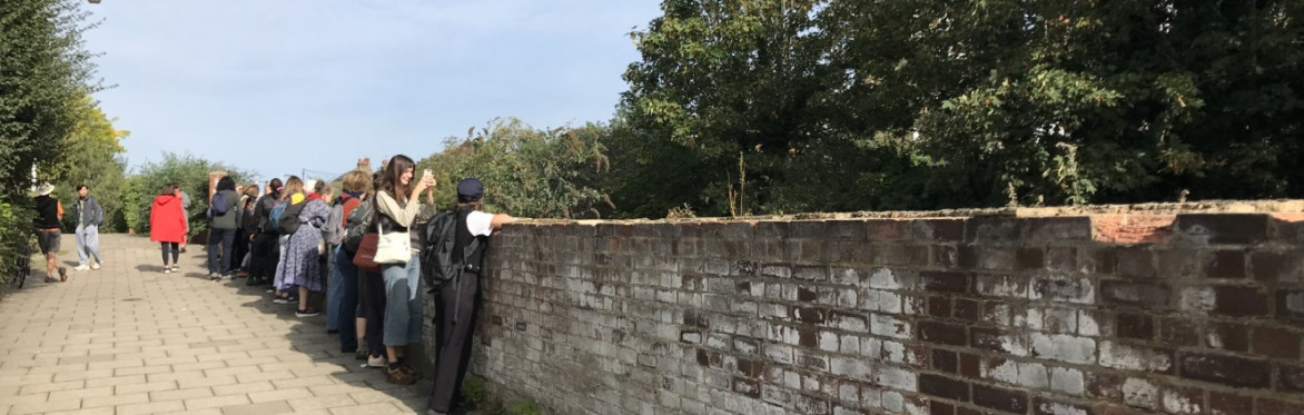 A walkway with a group of people looking over a wall. Alongside the wall are trees.