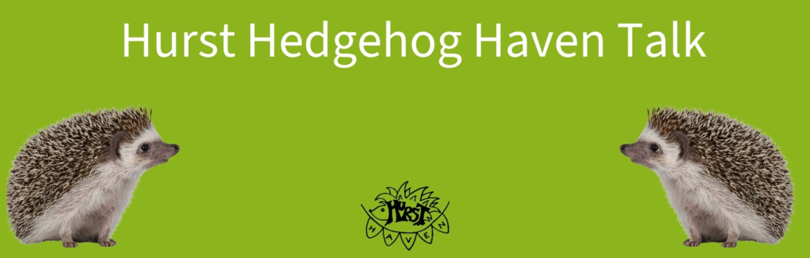 Hedgehog Haven Talk