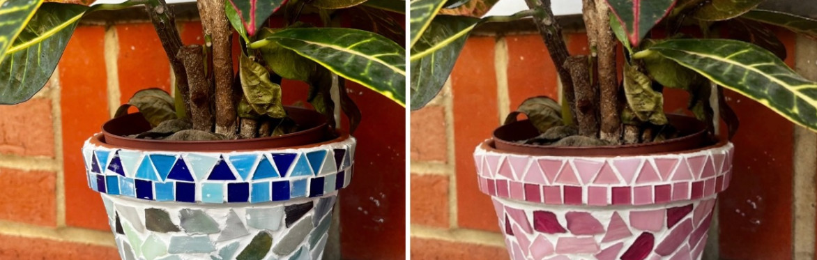 Mosaic Plant 🪴 Pot Workshop