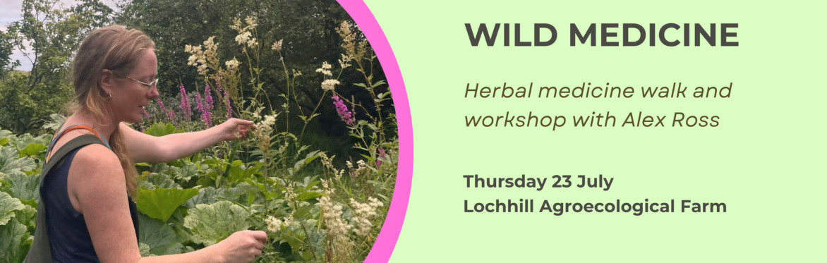 Wild Medicine - a herbal walk and workshop