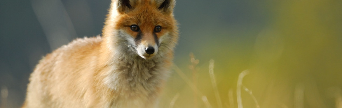 Natura da vivere 2026