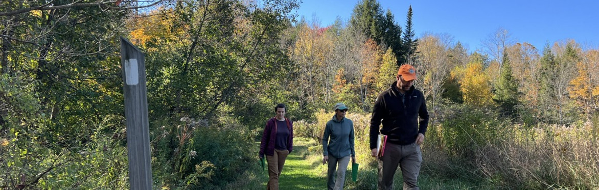 Guided Short Trail Hike