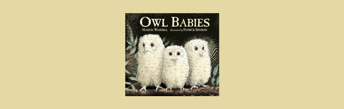 Story and Rhyme Time - Owl Babies