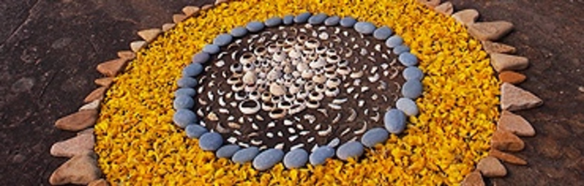 Creative Mindfulness: Watering Seeds of Creativity and Joy