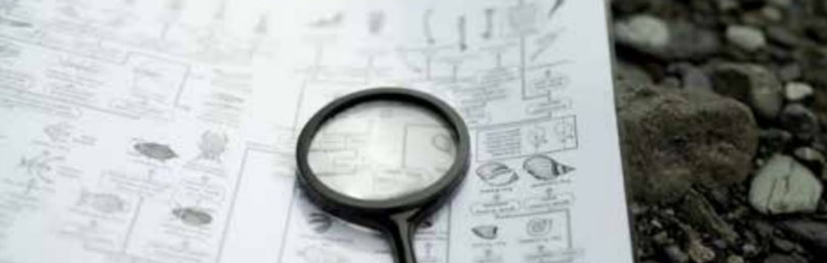 Sulle ali della scienza - Laboratorio per bambini