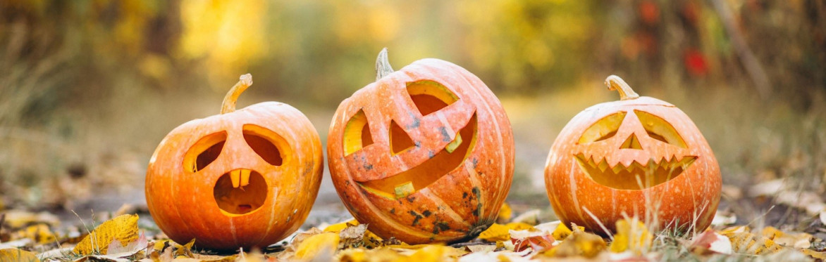 Halloween al maneggio "Wild Horse" Bormio