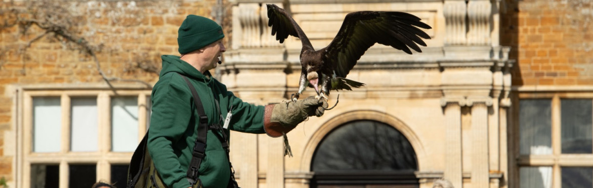Falconry Gathering 2026