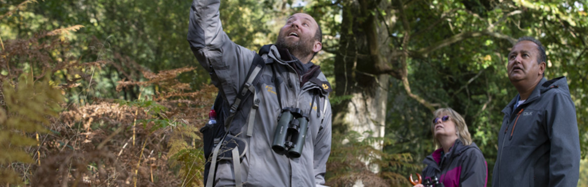 Wake Up to the Wild: Morning Chorus Walk with Ed Drewitt