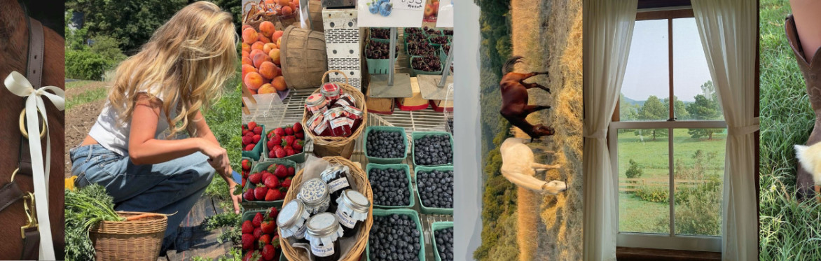 Emma Lou x Ace Grip Socks Farm Stand