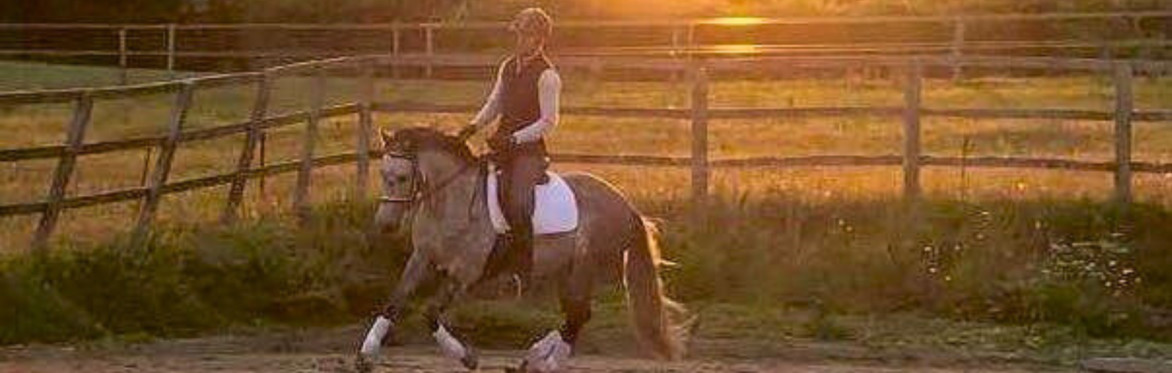 Classical Dressage Clinic with Mike Aylmore @ Brook Stud, Wilts