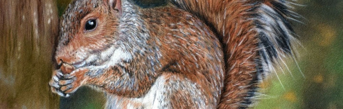 Squirrel 🐿️ in pastels with Estelle Robinson