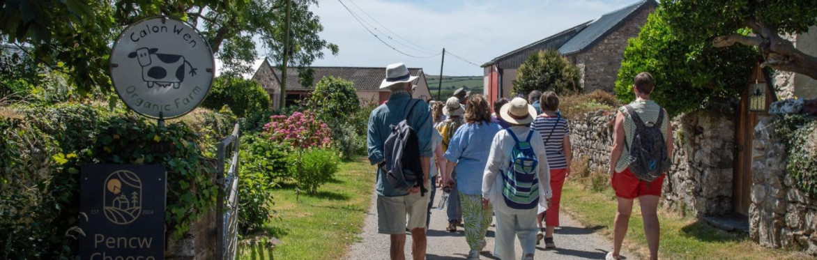PENRHIW FARM PRESENTS - LAND & NATURE -  A WALK CELEBRATING FOOD, DRINK AND OUR CONNECTION TO THE LOCAL AREA