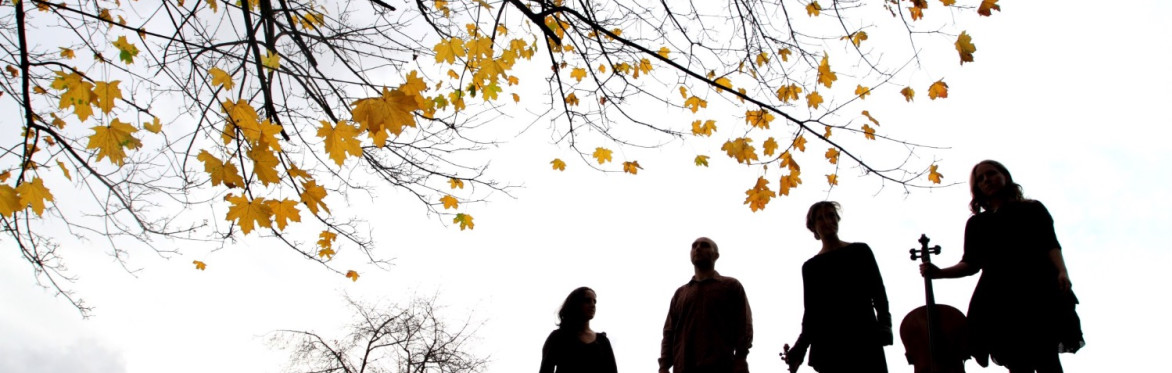 Silhouette image of four individuals holding string instruments with an autumnal tree in the foreground.