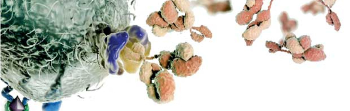 Education day: learn about recent cancer treatments including novel immunotherapy treatments