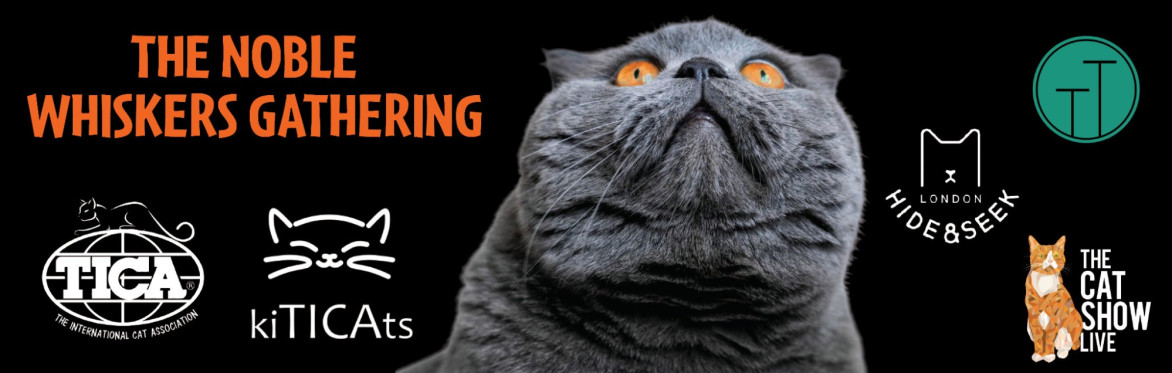 International Cat Show, The Noble Whiskers Gathering, Windsor, SL4 5JB