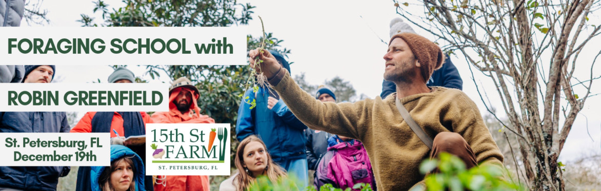 Foraging School - St. Petersburg, Florida
