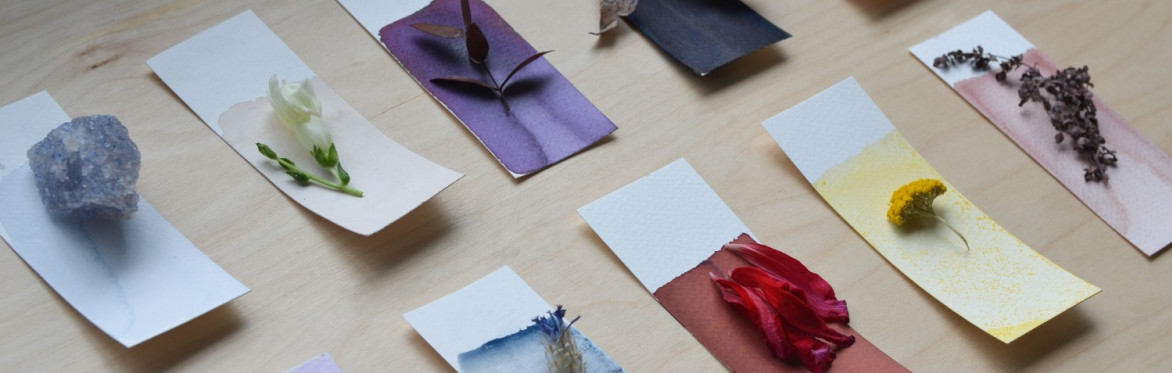 Flowers and colour swatches