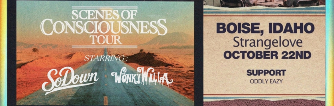 SoDown w/ WonkyWilla and Oddly Eazy [Scenes of Consciousness Tour]