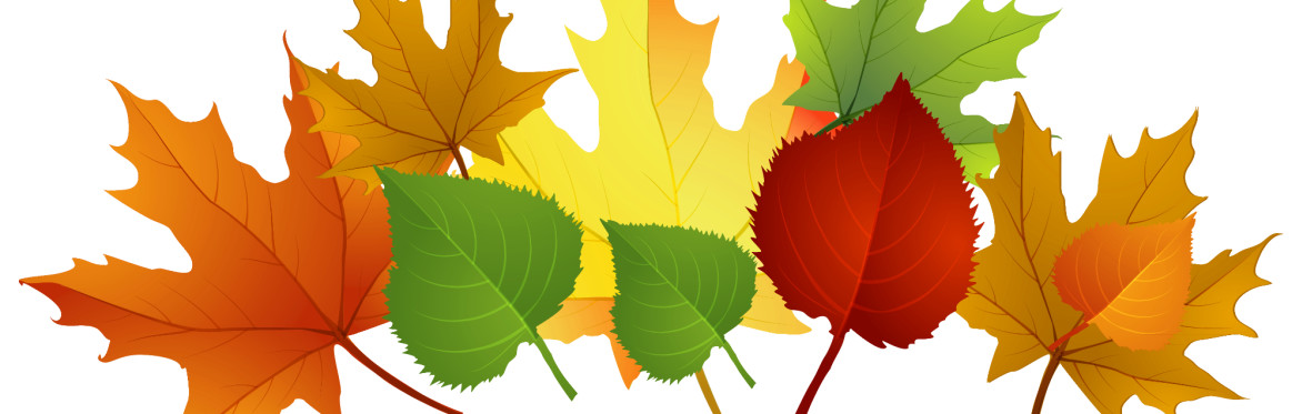 Autumn Seasonal Makers - Hawthorn & Apple Jam Making