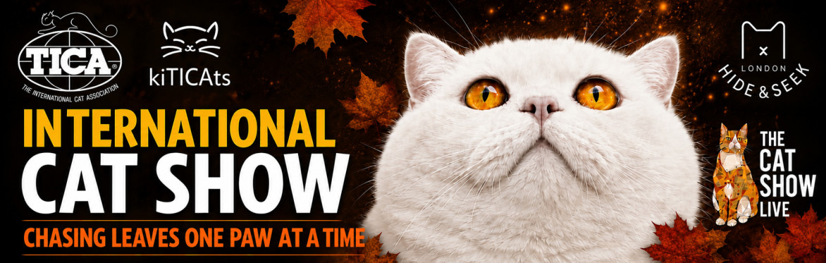International Cat Show, Chasing Leaves One Paw At A Time, Windsor, SL4 5JB