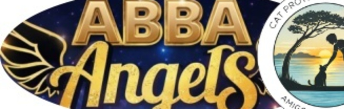 An afternoon of music, fun and dancing with ABBA ANGELS in aid of Cat Protection Pollensa
