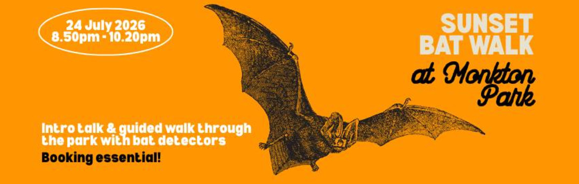 Sunset bat walk at Monkton Park