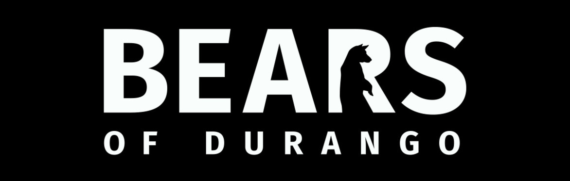 Bears of Durango title art with bear image