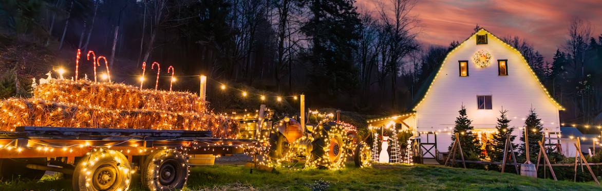 Tree Lighting and Holiday Sing-A-Long