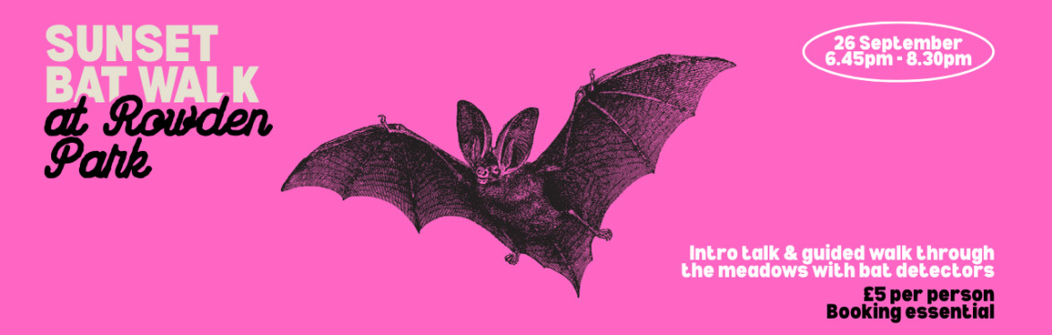 Sunset bat walk at Rowden Park