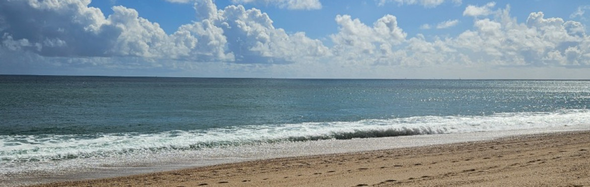 A sunny beach with the waves lapping the shore and a blue sky with white clouds