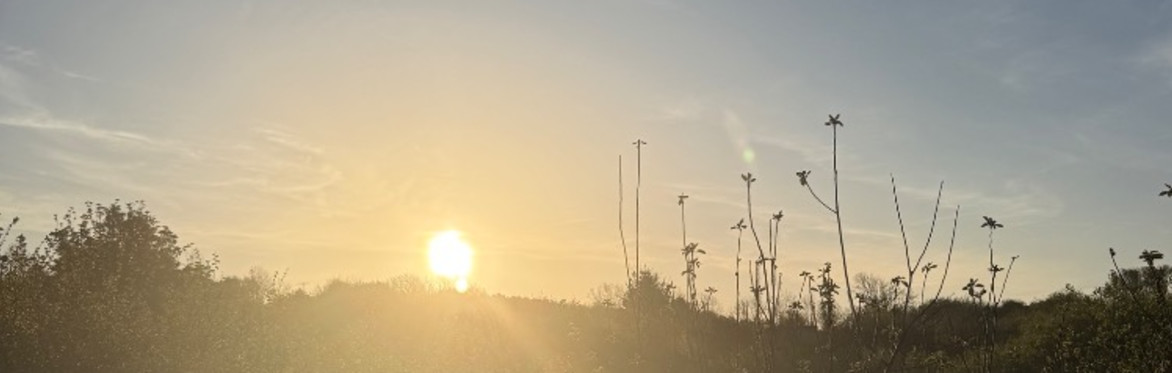 Chyan's Solstice Gathering