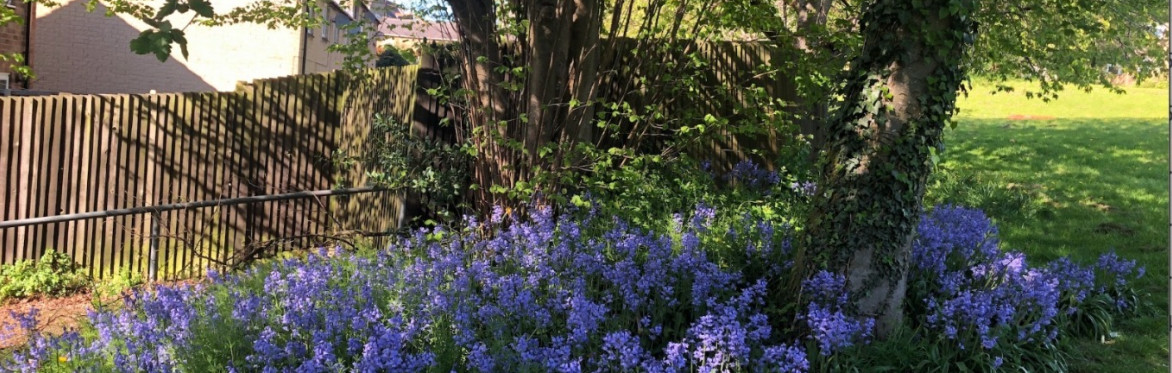 Gregory Road Green Space